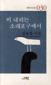 비내리는 소래포구에서(시학시인선 30)