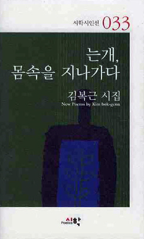 는개 몸속을 지나가다(시학시인선 33)