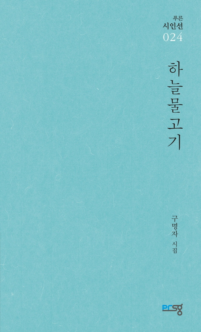 하늘물고기(푸른시인선 24)