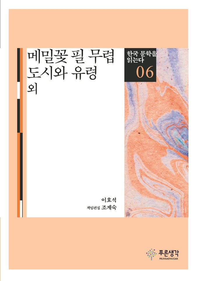 메밀꽃 필 무렵 도시와 유령 외(한국문학을 읽는다 6)