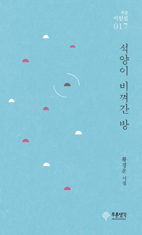 석양이 비껴간 방(푸른 시인선 17)
