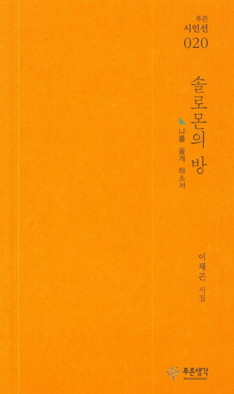 솔로몬의 방(푸른시인선 20)