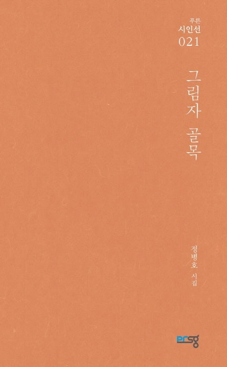 그림자 골목(푸른시인선 21)