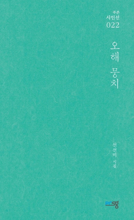 오해 뭉치(푸른시인선 22)