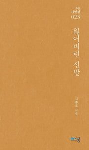 잃어버린 신발(푸른시인선 23)