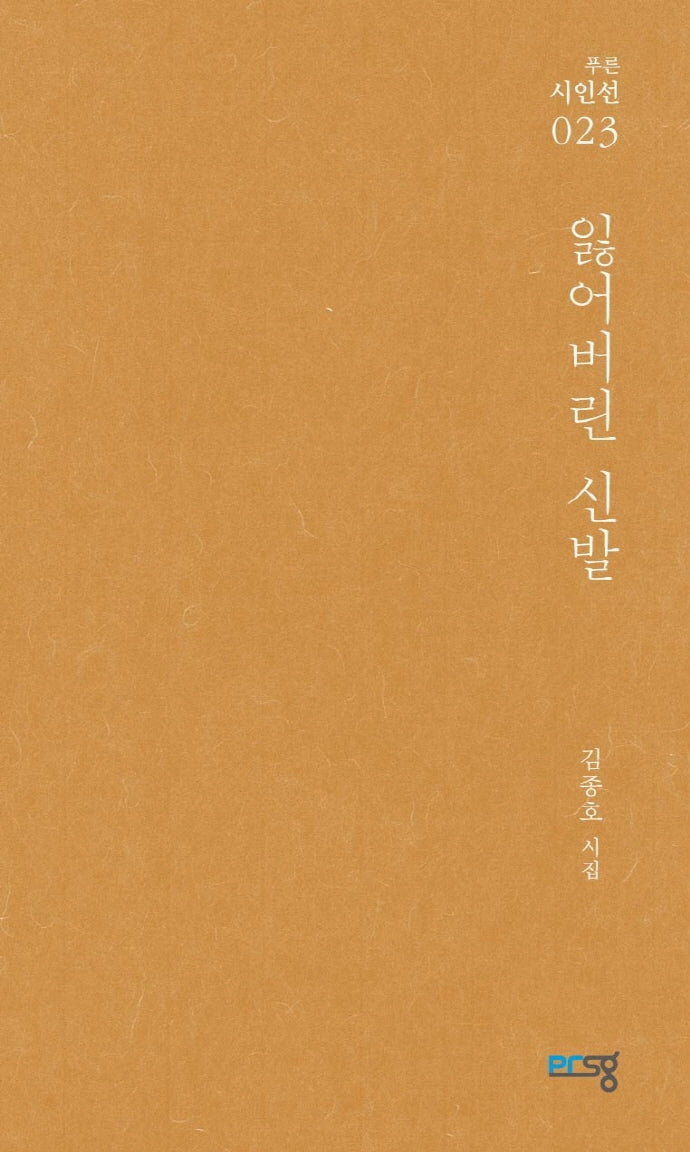 잃어버린 신발(푸른시인선 23)