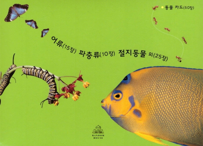 동물카드 50장: 어류 15장, 파충류 10장, 절지동물 외 25장(Deep in Nature)