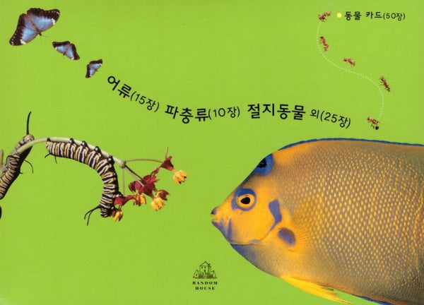 동물카드 50장: 어류 15장, 파충류 10장, 절지동물 외 25장(Deep in Nature)