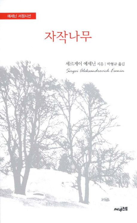 자작나무