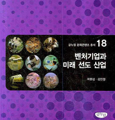 벤처기업과 미래 선도 산업(글누림 문화콘텐츠 총서 18)
