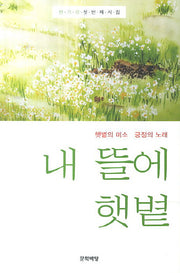 내 뜰에 햇볕