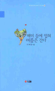 매미 등에 업혀 여름은 간다(한림문학춘추시인선 339)