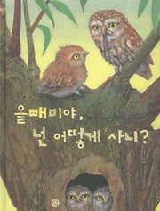 올빼미야 넌 어떻게 사니(양장본 HardCover)