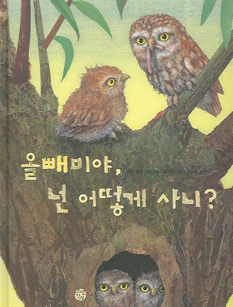 올빼미야 넌 어떻게 사니(양장본 HardCover)