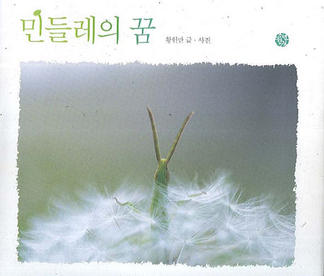 민들레의 꿈(어린이를 위한 사진 동화)(양장본 Hardcover)