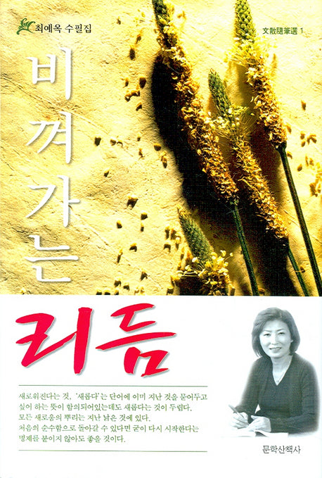비껴가는 리듬(양장본 HardCover)