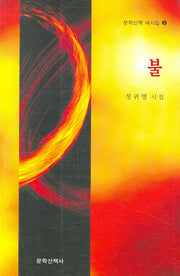 불(문학산책 새시집 5)