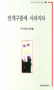 안개구름에 사라지다(문학산책 새시집 8)