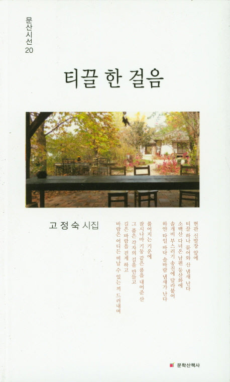 티끌 한 걸음(문산시선 20)