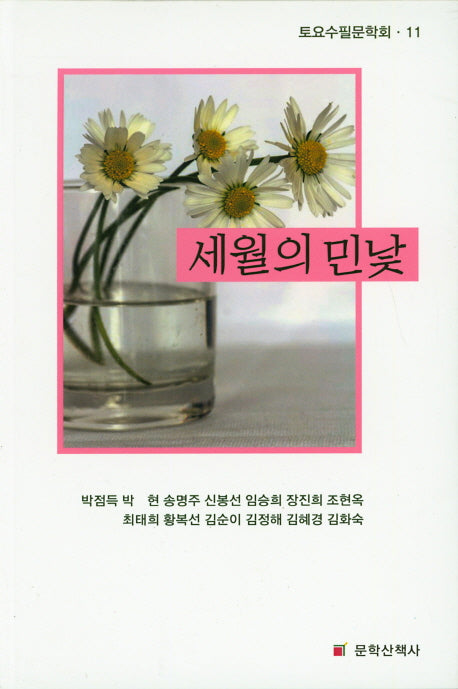 세월의 민낯(토요수필문학회 11)