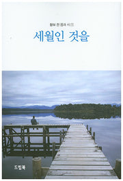 세월인 것을(황보 전 꿈과 시 1)