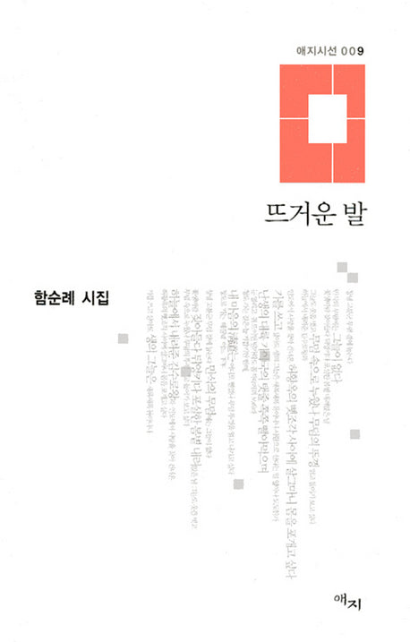 뜨거운 발(애지시선 9)(양장본 HardCover)