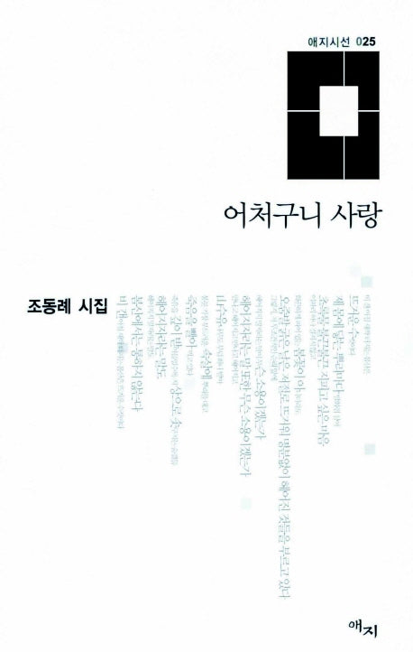 어처구니 사랑(애지시선 25)