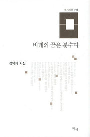 비데의 꿈은 분수다(애지시선 43)(양장본 HardCover)