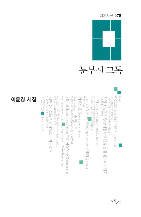 눈부신 고독(애지시선 70)(양장본 HardCover)