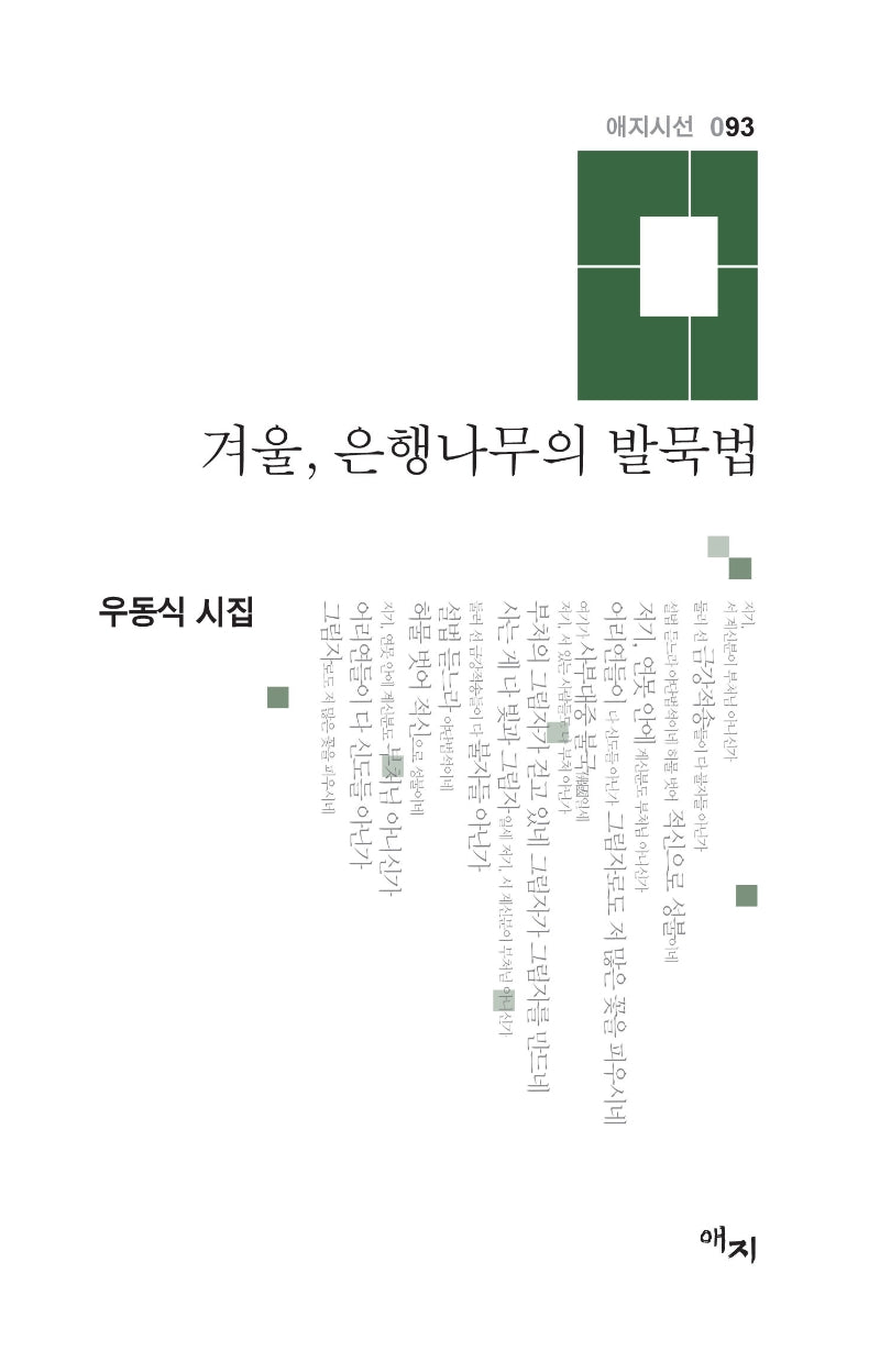 겨울, 은행나무의 발묵법(애지시선 93)(양장본 HardCover)
