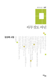 아무것도 아닌(애지시선 97)(양장본 HardCover)