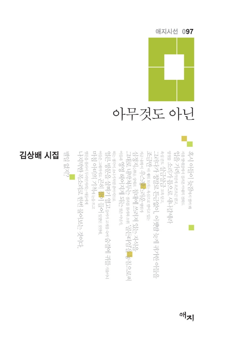 아무것도 아닌(애지시선 97)(양장본 HardCover)