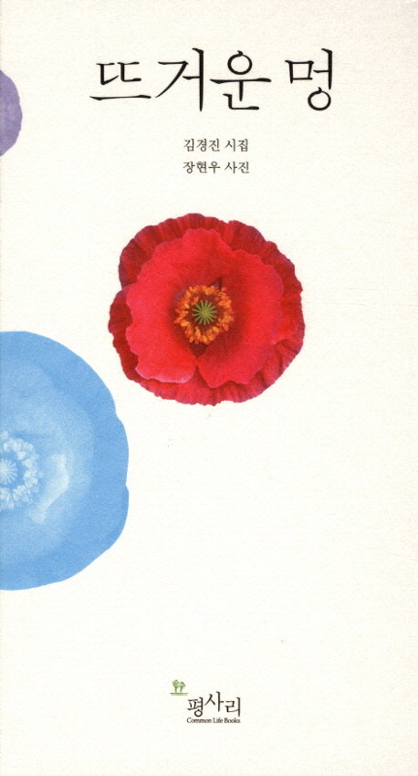 뜨거운 멍(양장본 Hardcover)