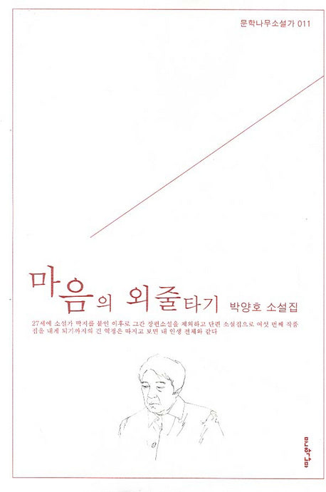 마음의 외줄타기(문학나무 소설가 11)