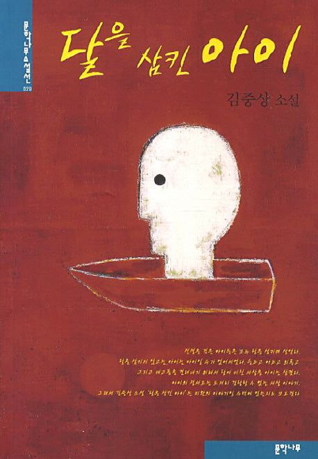 달을 삼킨 아이(문학나무 소설선 29)
