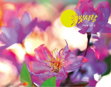 꽃빛사랑(양장본 HardCover)