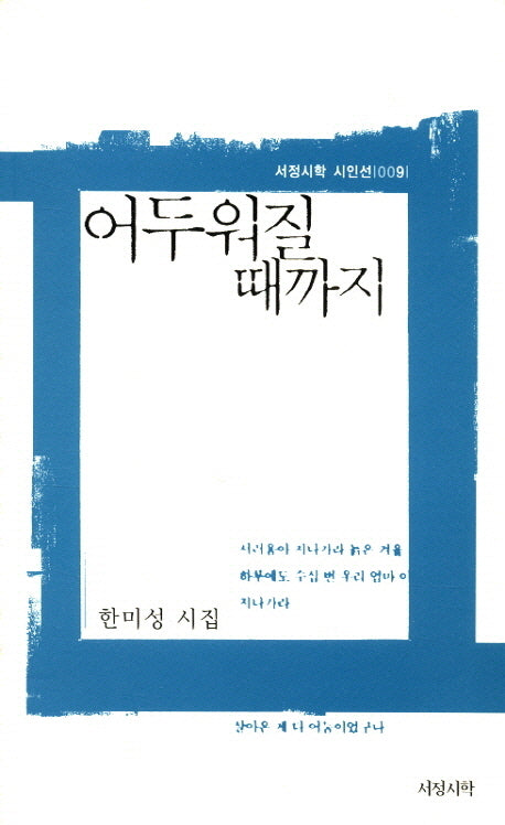 어두워질 때까지(서정시학 시인선 9)