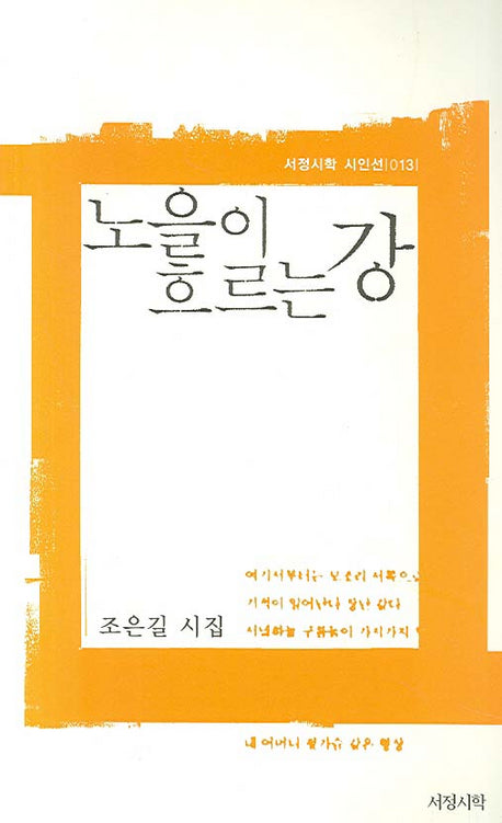 노을이 흐르는 강(서정시학 시인선 13)