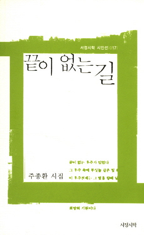 끝이 없는 길(서정시학 시인선 17)