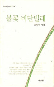 불꽃 비단벌레(서정시학 시인선 30)