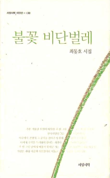 불꽃 비단벌레(서정시학 시인선 30)