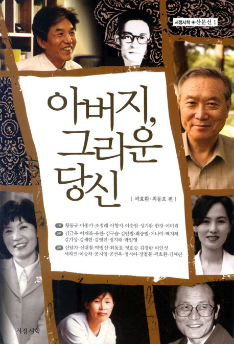 아버지 그리운 당신(서정시학 산문선 1)