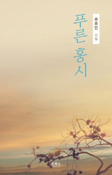 푸른 홍시(온북스 시선 29)