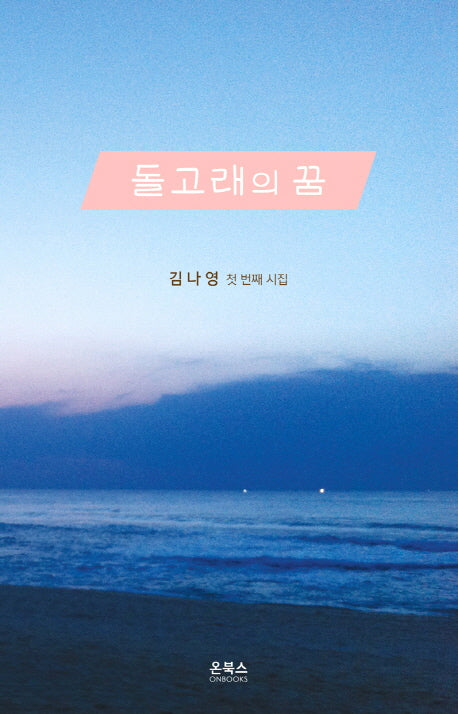 돌고래의 꿈