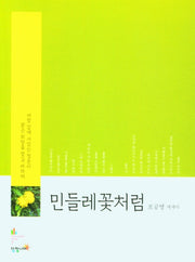 민들레꽃처럼