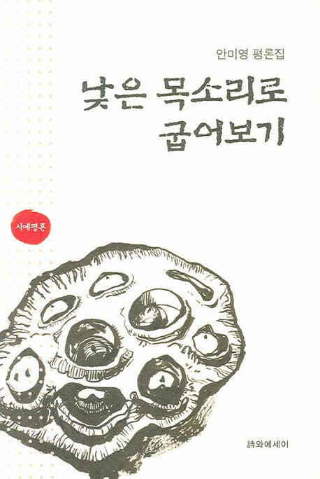낮은 목소리로 굽어보기(안미영 평론집)