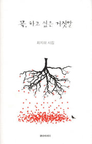 꼭 하고 싶은 거짓말(양장본 Hardcover)