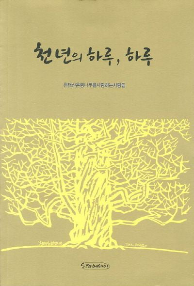 천년의 하루 하루