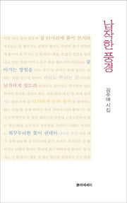 납작한 풍경