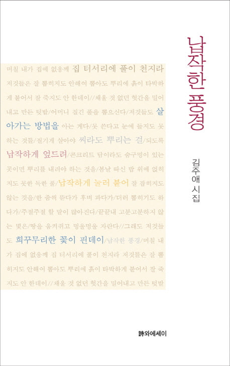 납작한 풍경